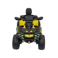Quad-Can-Am-Outlander-ATV-Zolty-11.webp