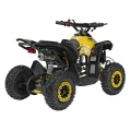 quad-spal-50-maly-zolty-9.webp