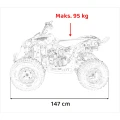 7.webp